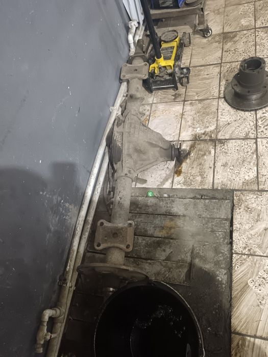 Мост чайка на газель