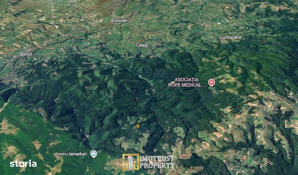 Pădure și pășune de vânzare 8,2037 ha Borod, Bihor