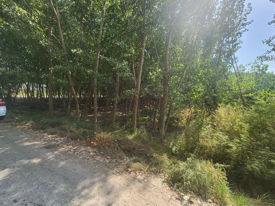 Chek sotiladi yozyovon tumani soyboyi qishlogida