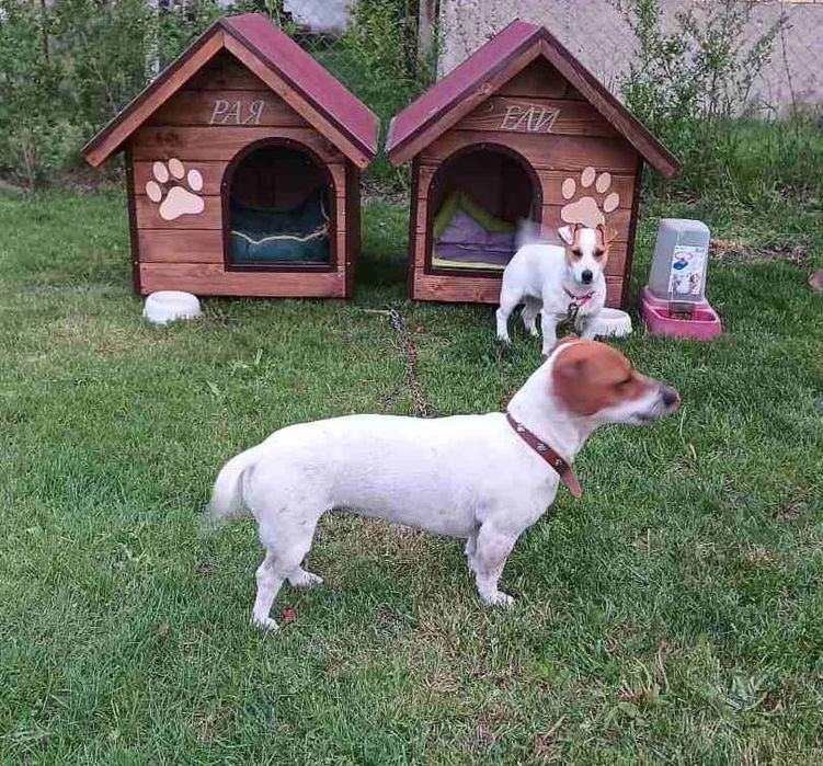 Кучешки къщи, къща за куче