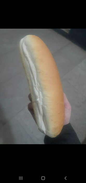 Xot dog,gamburger danar haggi nonlari