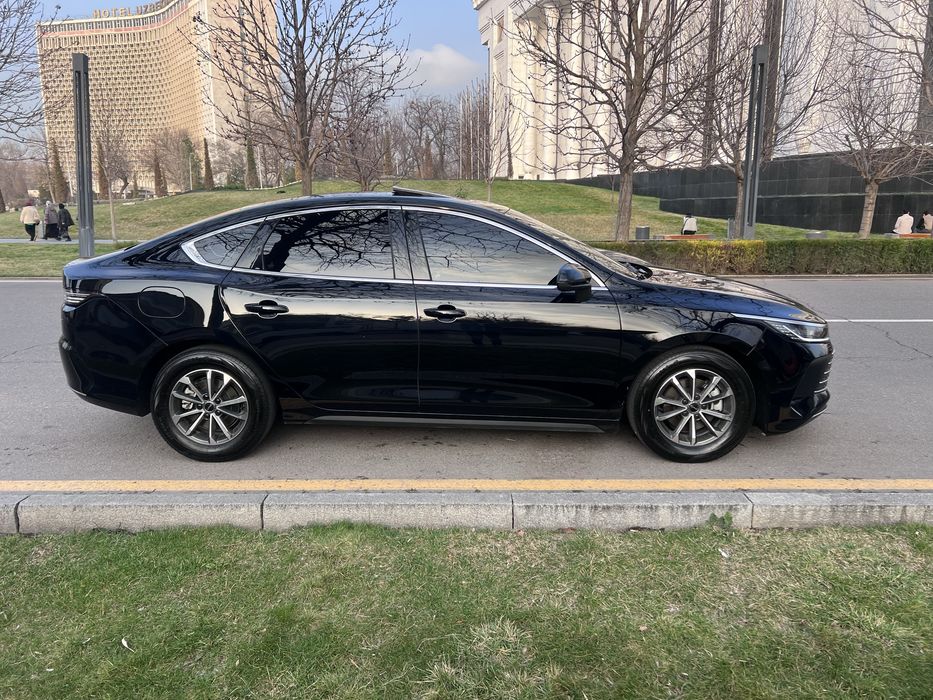 Byd chazor dm-i Luxe