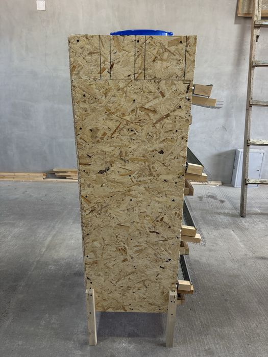 Bedana qafas hamda buruderlar bor