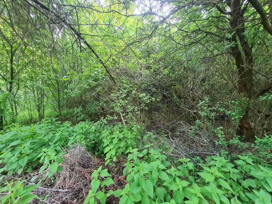 Продава се Парцел в с. Гоз, Област Перник - 648 кв.м за 10 €/кв.м - Снимка #8