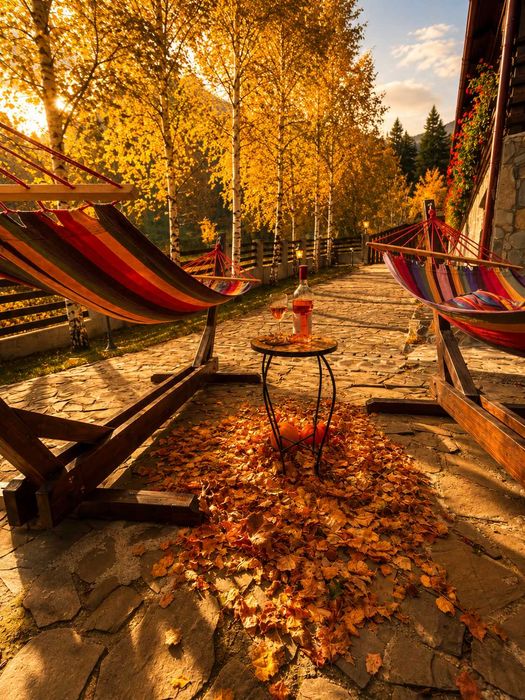 Cazare vila integral in Sinaia – 12 locuri – vedere la munte