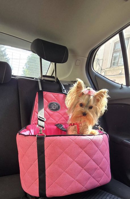 Кош за кола  за куче