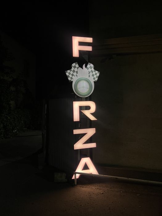 Готовый бизнес Forza simrasing