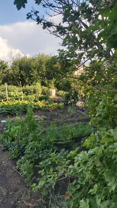 Дача. Зерендинская трасса.