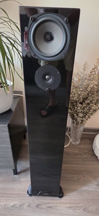Тонколони Rega rs7