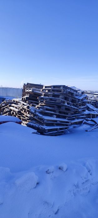 Поддоны продам по