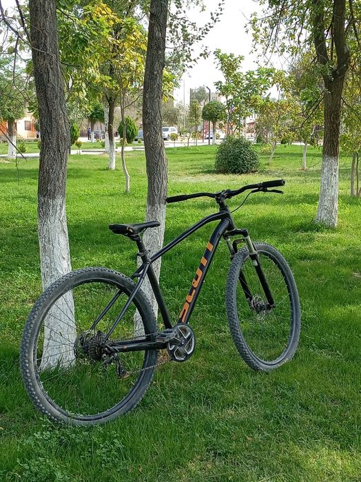 Scott aspect 970
