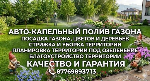 Газон Автополив Стрижка