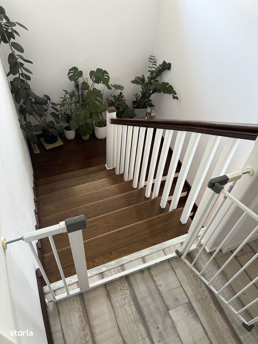 Vand Casa Individuala Floresti str Narciselor
