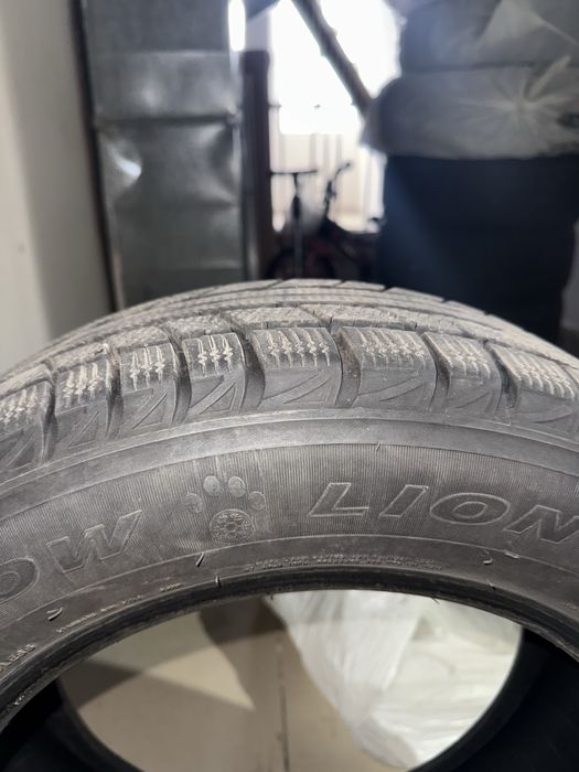 Triangle snow lion зимние шины