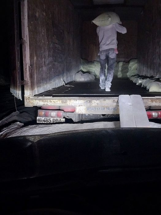 Гипс Gips Бухоро Гипс