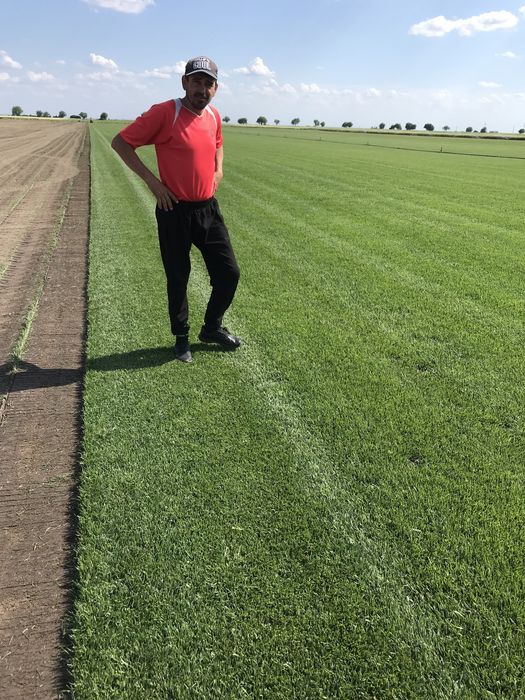 Gazon  Rulou  /  Sisteme  de  irigatii