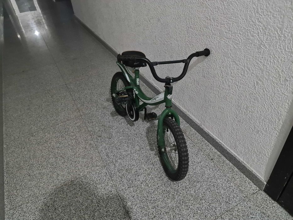 Велик барс спортивный