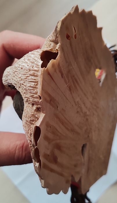 Indian. Decorațiune