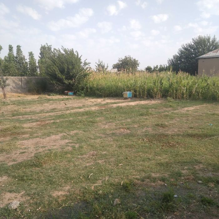 6сотихли Участка сотилади