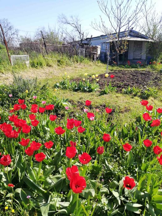 29 000 евро, , вилно място, м.Острицата 2  над Банево, Бургас