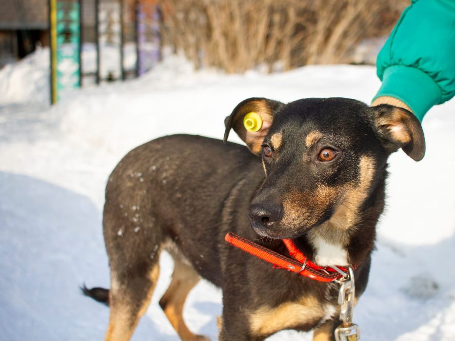 Забери меня домой