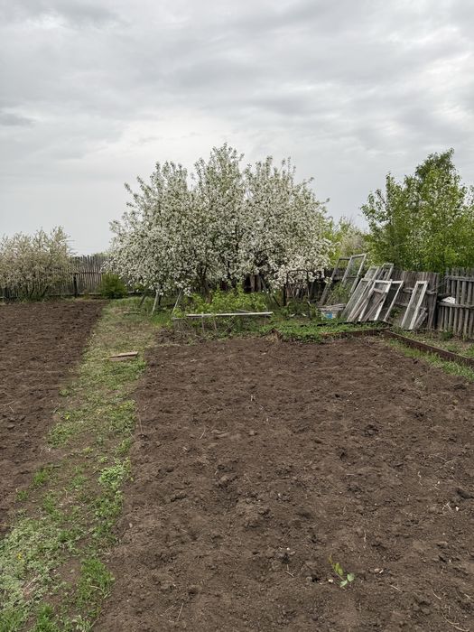 Продам дачу в обществе Дархан