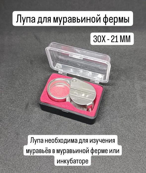 Формикарий для муравьиной фермы