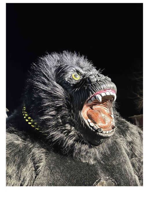 Продам ростовые куклы