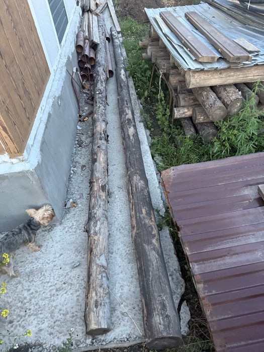 Продам бревна сосны.