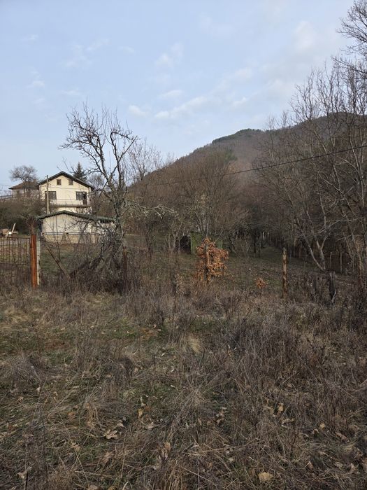 Почистване на запустели парцели ,дворове и терени