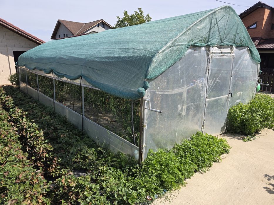 Solar de legume 4.25×10 m