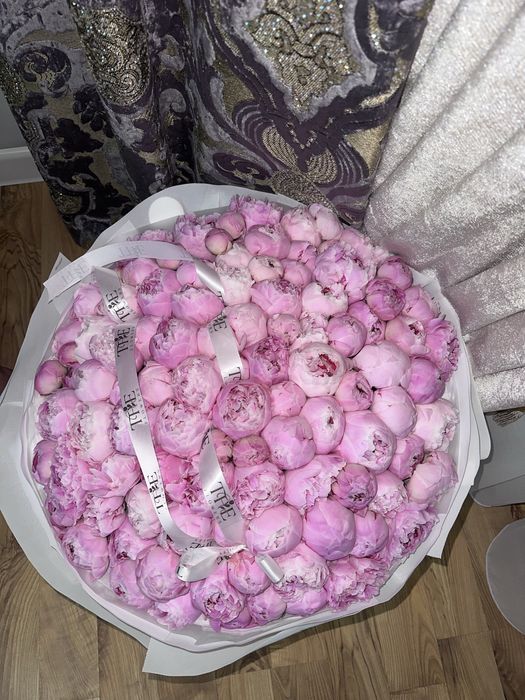 Пионы 101 штук продам срочно