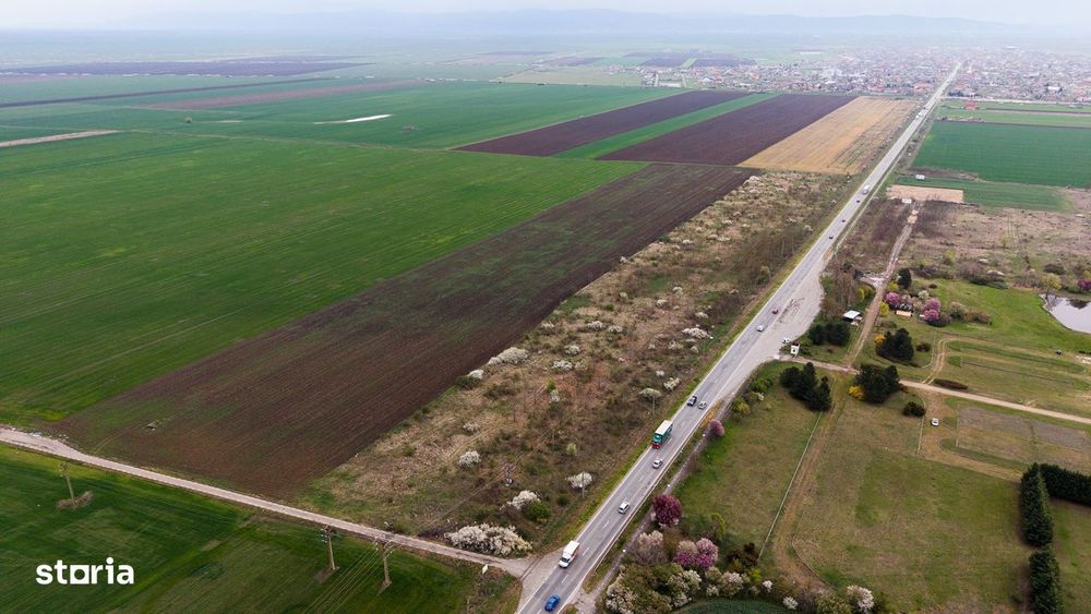 Teren de 41800 mp ieșire Vladimirescu