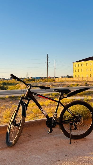 Cruzer velo 2026