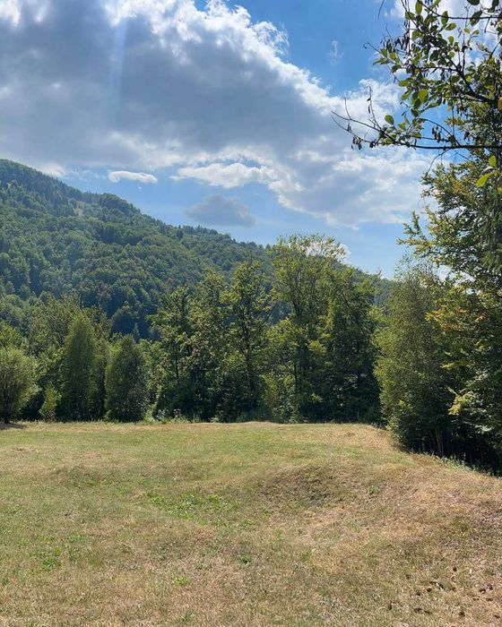 Teren Montan 6.572 mp Jieț (Petrila , Județul Hunedoara)