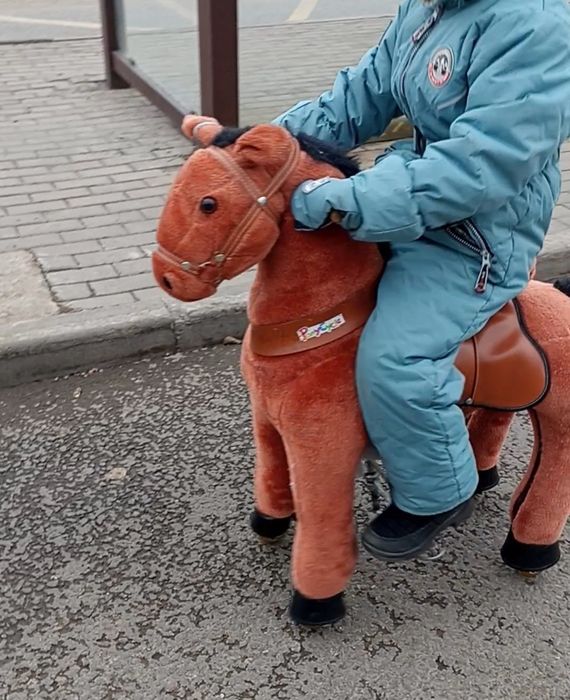 Поницикл в хорошем состоянии