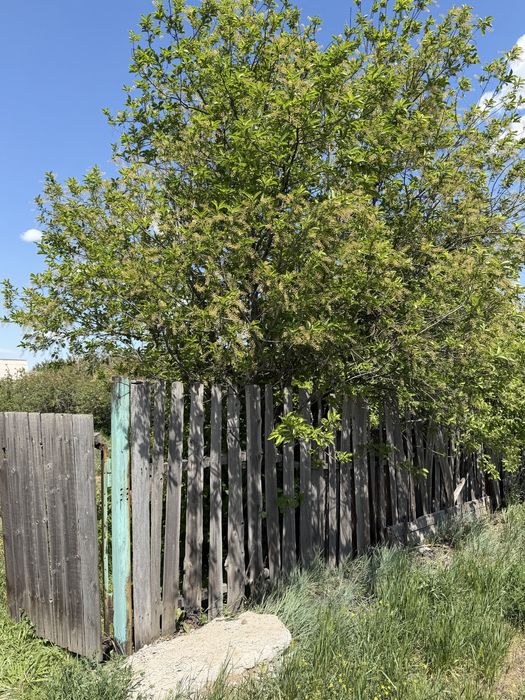 Продам дачу в сообществе Горняк