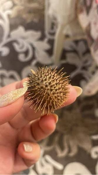 Бурнаки сатылады