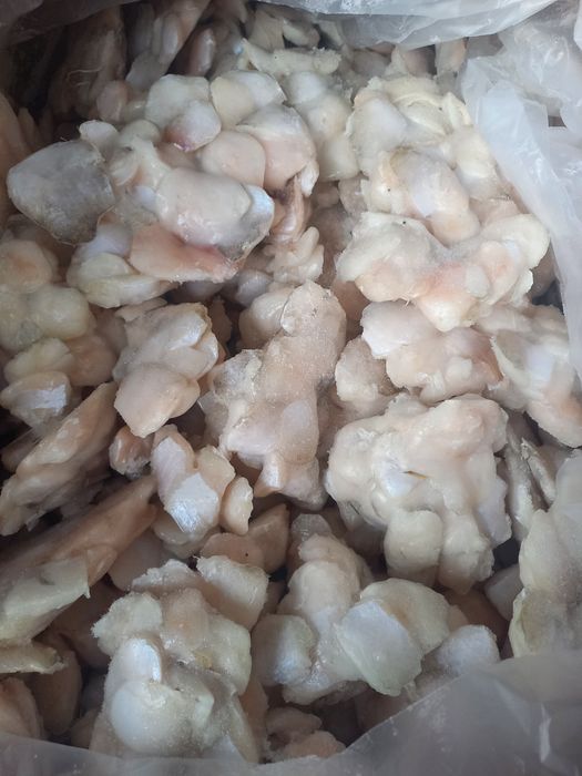 Щёчки судака 1кг 1900