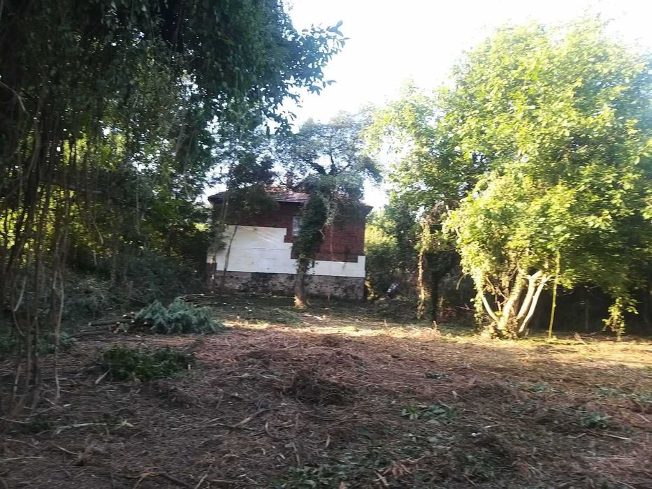 Продава се Парцел в с. Гълъбник, Област Перник - 2000 кв.м за 35 €/кв.м - Снимка #3