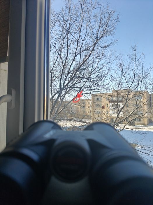 Бинокль с ED оптикой - Saga ED 8x42