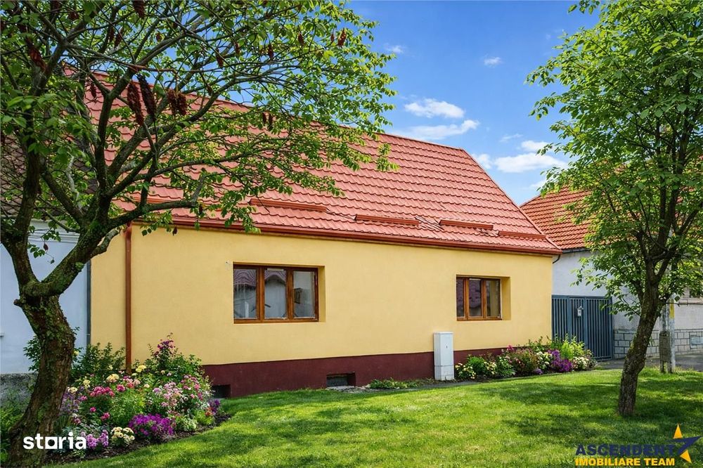 Cocheta casa renovata+vila spatioasa, domeniu de 1.500mp,Sanpetru,Bras