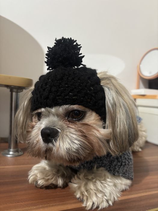 Haina pentru căței croșetate