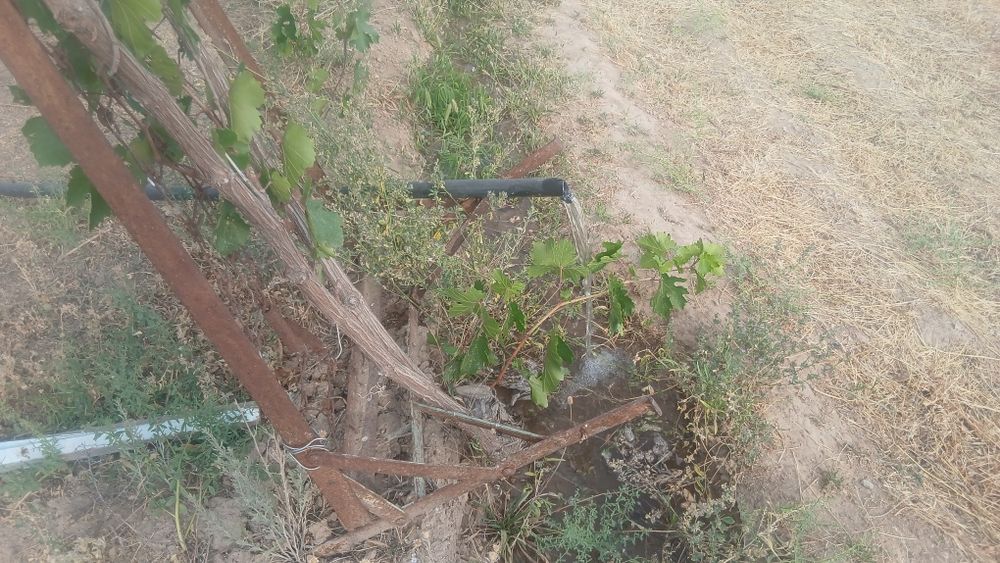 Yer uchastka sotiladi