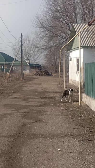 Участок жер Уштерек Дружба