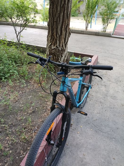 Велик, городской