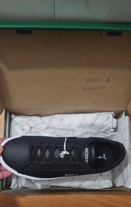 Lacoste shoes number 43