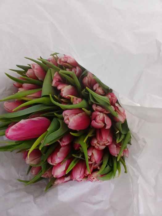 Тюльпаны 850 тн большие