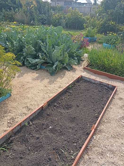 Продам дачу)общ.Лада, Новопавловка