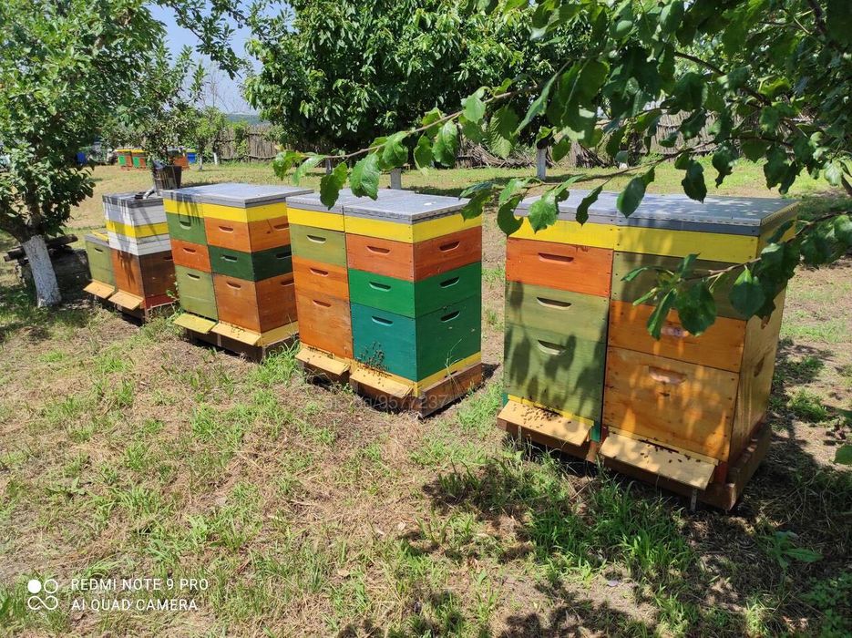 Кошери за подвижно пчеларство